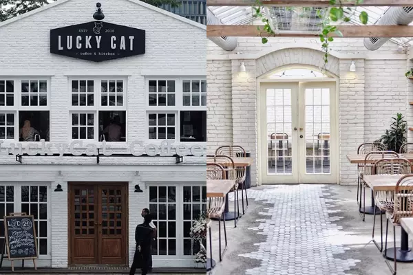 Lucky Cat Cafe Instagramable di Jakarta