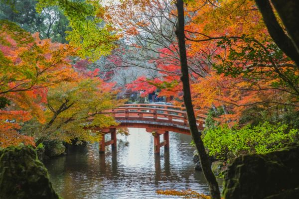 tips pergi ke jepang Pilih Waktu yang Tepat untuk Berkunjung