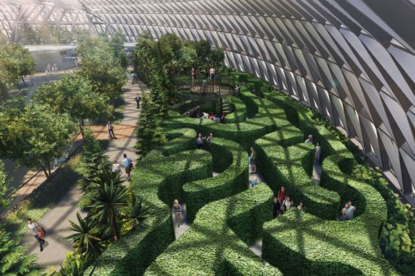 atraksi di jewel changi airport HEDGE MAZE