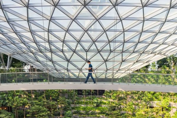 atraksi di jewel changi airport MASTERCARD® CANOPY BRIDGE