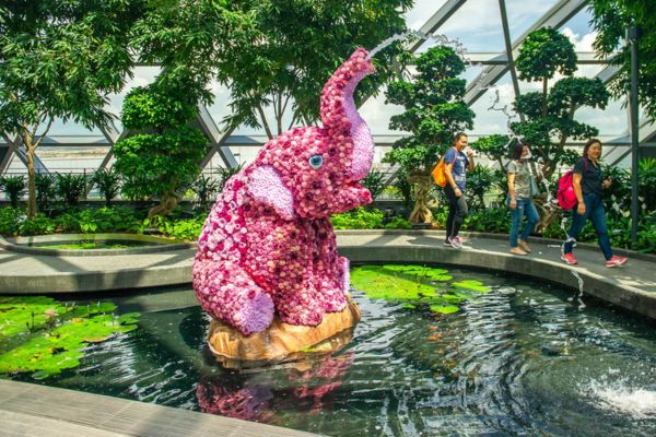atraksi di jewel changi airport CANOPY PARK