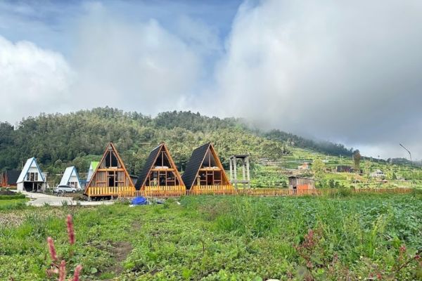Rekomendasi Penginapan di Dieng