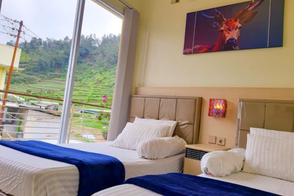 Rekomendasi Penginapan di Dieng
