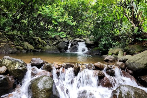 Tempat Camping di Bogor