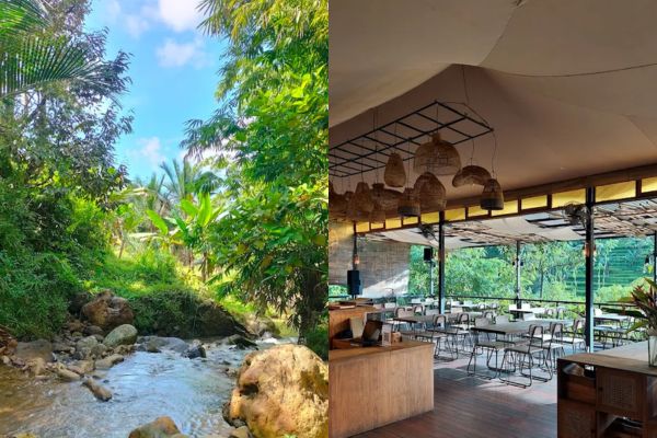 Tempat Camping di Bogor